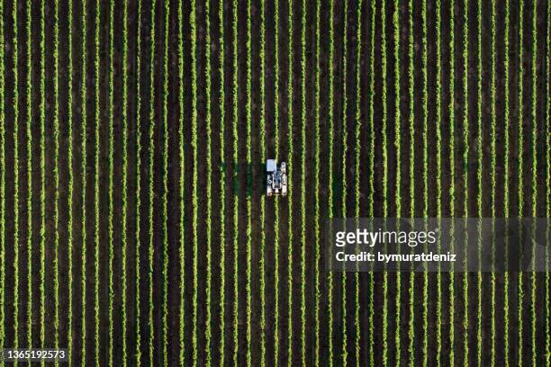 cosecha agrícola - aerial view photos fotografías e imágenes de stock