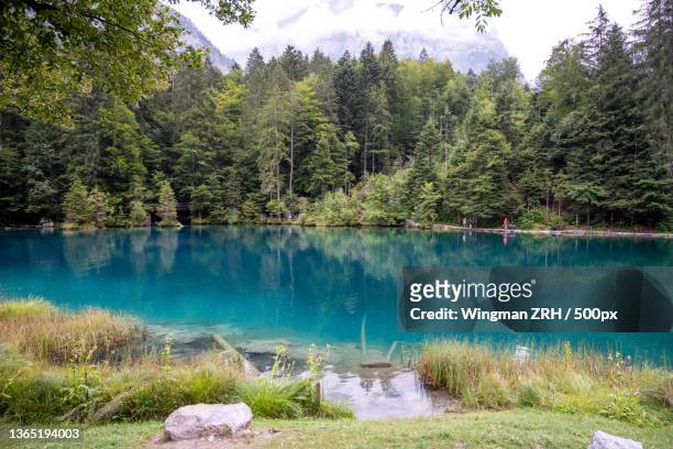 scenic view of lake in forest against sky,blausee,kandergrund,switzerland - blausee stock-fotos und bilder