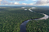 River in the Amazon