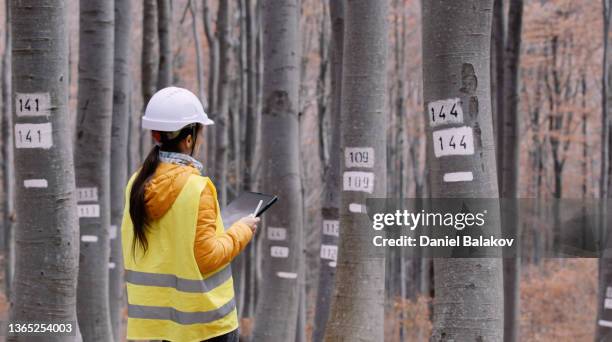 écologiste féminine sur le terrain dans la forêt de hêtres. soins et durabilité des écosystèmes. - botaniste photos et images de collection