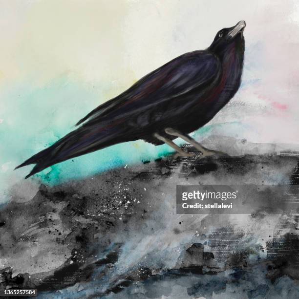 32 Ilustraciones de Black Bird Drawing - Getty Images