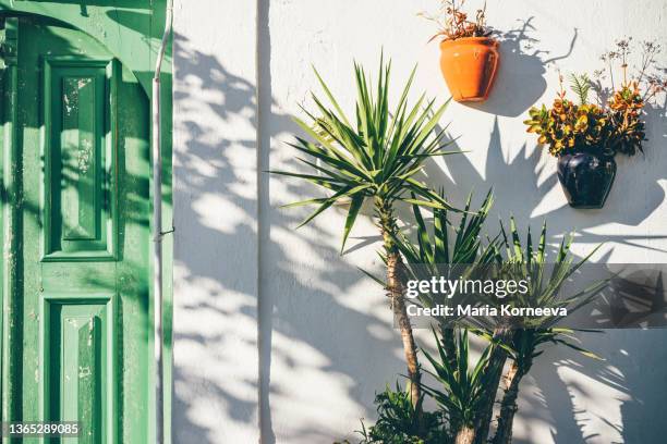 mediterranean old green wooden door and flower pots on white wall. - mediterranean culture stock pictures, royalty-free photos & images