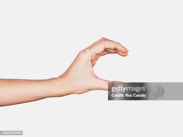 woman's hand holding, empty - pinching stock pictures, royalty-free photos & images