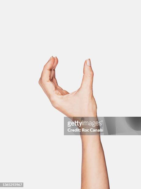 woman's hand holding, empty - mano umana foto e immagini stock