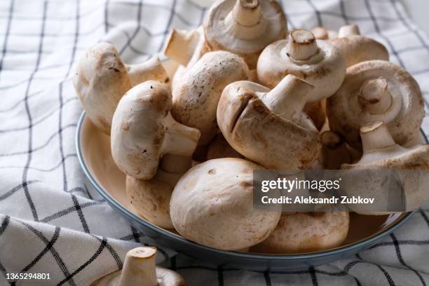 a bunch of whole raw fresh mushrooms in a plate, on a white table or background. mushrooms are like vegetable protein. the concept of vegetarian and vegan food and diet. veganism and vegetarianism. cooking at home or in a restaurant. - regno dei funghi foto e immagini stock