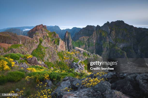 madeira island - pico ruivo stock pictures, royalty-free photos & images