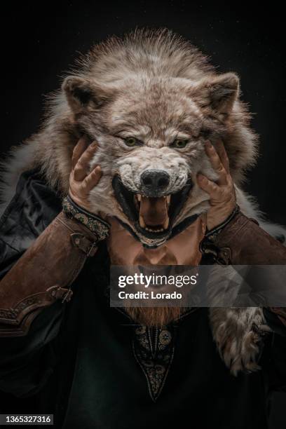 a redhead viking warrior and wolf in studio shot - viking stock pictures, royalty-free photos & images