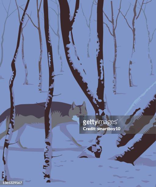 winter scene with wolf - linocut stock illustrations