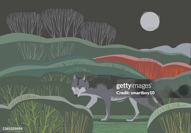 countryside scene with wolf - gray wolf stock illustrations