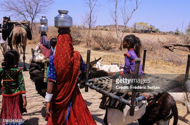 Rabari Tribe in Rajasthan. Rabaris are nomadic people throughout Rajasthan and Gujarat. Traditionally, they are camel herders and sheperds. Today,...