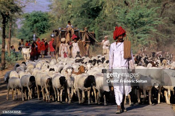 Bisham Rabari 181 Rabari Tribe Stock Photos, High-Res Pictures, and Images - Getty Images