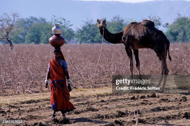 Bisham Rabari Rabari Tribesman Photos and Premium High Res Pictures - Getty Images