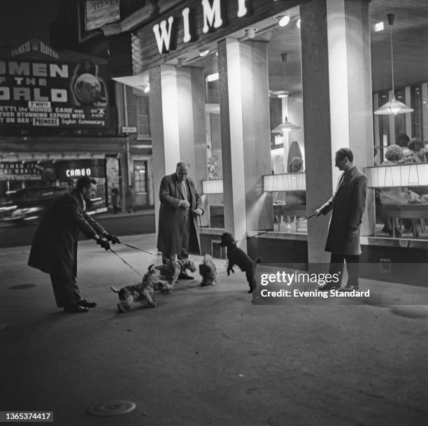 Wimpy Man Photos and Premium High Res Pictures - Getty Images