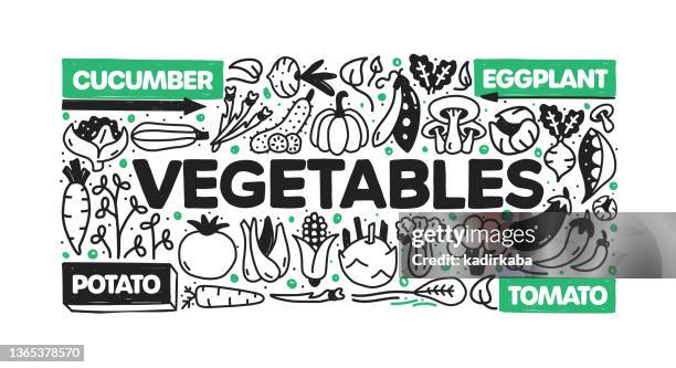 vegetables object and elements. vector doodle illustration collection. hand drawn icon set or banner template - fennel stock illustrations