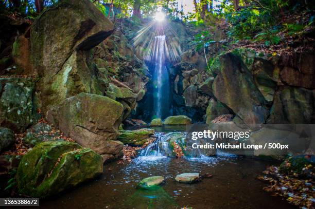 sunburst waterfall,scenic view of waterfall in forest,narita,chiba,japan - narita bildbanksfoton och bilder