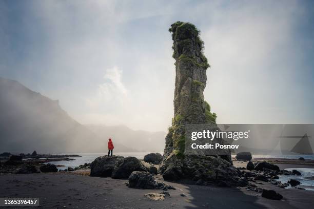 stepanof cove - aleuterna bildbanksfoton och bilder