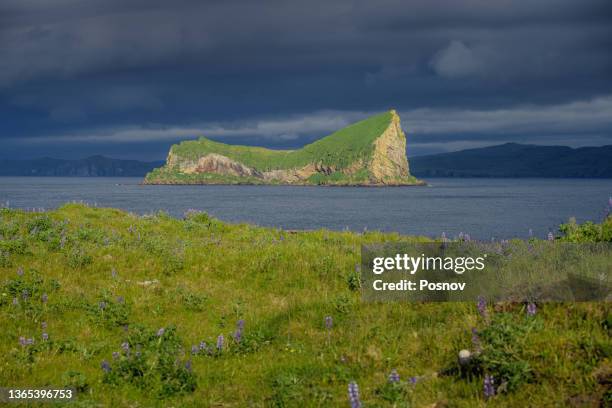 ship rock in bering sea - bering sea fotografías e imágenes de stock