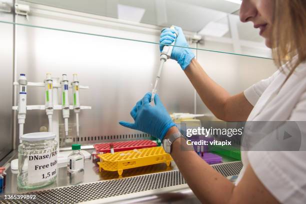 laboratory gene analysis - genetic screening stock pictures, royalty-free photos & images