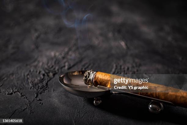 premium cigar - smoking cigar stock pictures, royalty-free photos & images