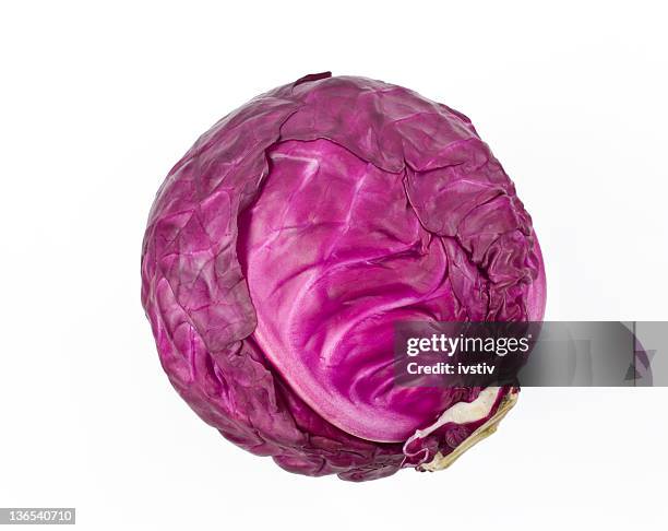 red cabbage - cabbage stock-fotos und bilder