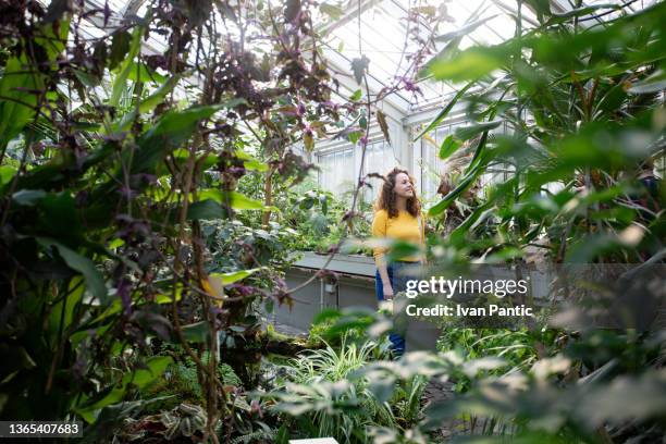 junge kaukasische frau, die sich in einem botanischen garten amüsiert - botanischer garten stock-fotos und bilder