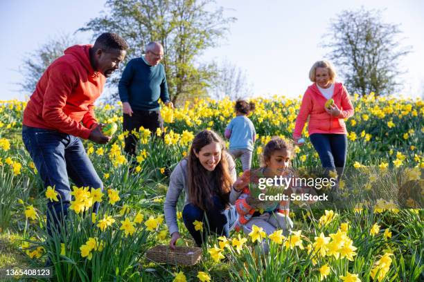 familie ostereiersuche - extended family outdoors spring stock-fotos und bilder