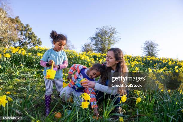 we've found easter eggs! - easter egg hunt stock pictures, royalty-free photos & images