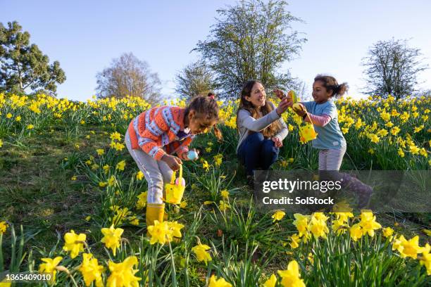 ostereier abenteuer jagd - easter egg hunt stock-fotos und bilder