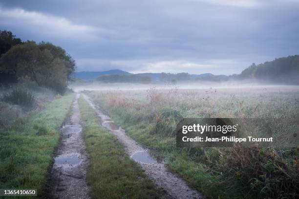 wet path across the fields in the bavarian countryside, germany - muddy footpath stock pictures, royalty-free photos & images