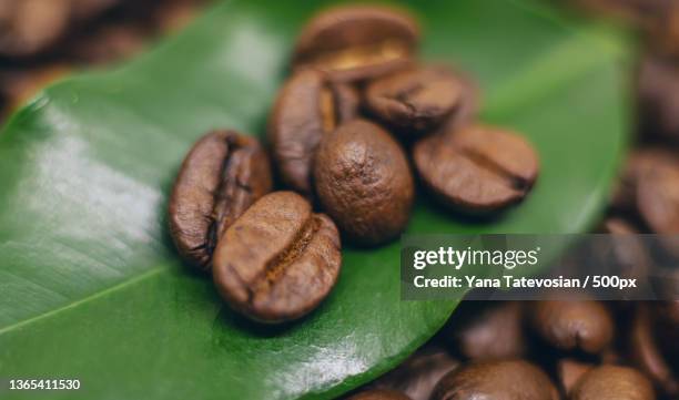 coffee beans roasted close-up drink selective focus - fair trade stock-fotos und bilder