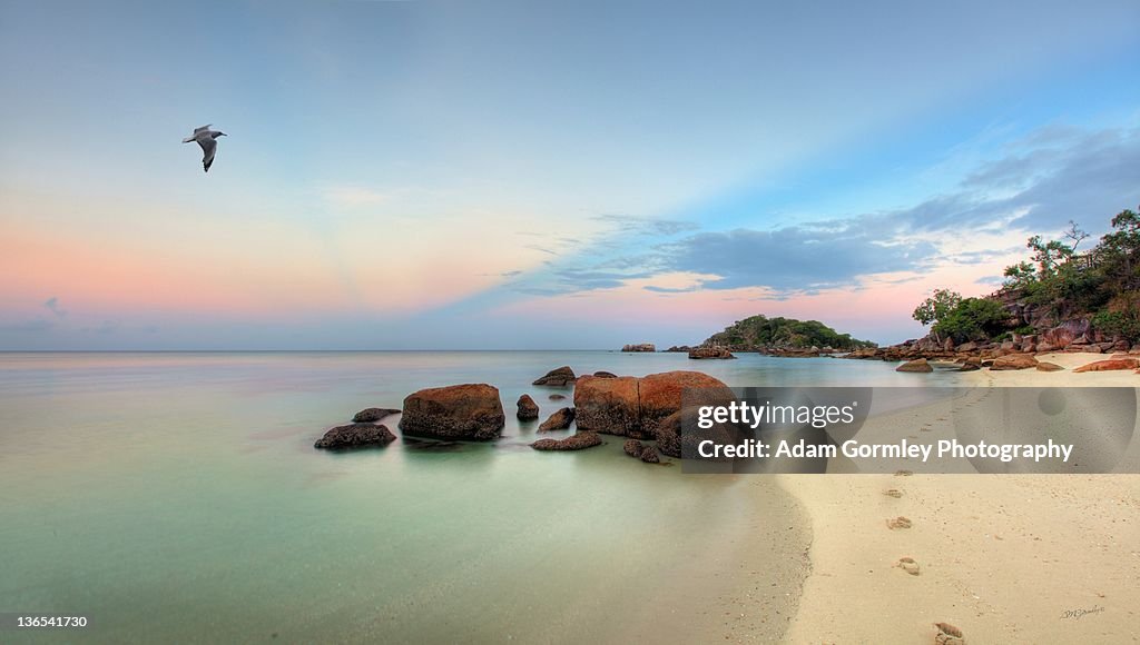 Seagulls flying over Lizard Island