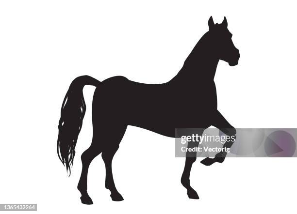 horse silhouette - horse standing stock illustrations