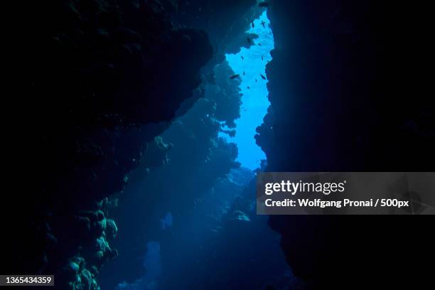 low angle view of woman swimming in sea - deep ocean stock pictures, royalty-free photos & images