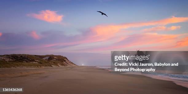 amazing pink sunrise sky and birds in flight on the beach at cape henlopen, new jersey in october - new jersey beach stock pictures, royalty-free photos & images