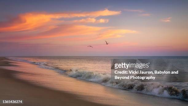 beautiful soft waves, pink clouds and bird silhouettes over beach at cape henlopen, new jersey in october - pink jersey stock-fotos und bilder