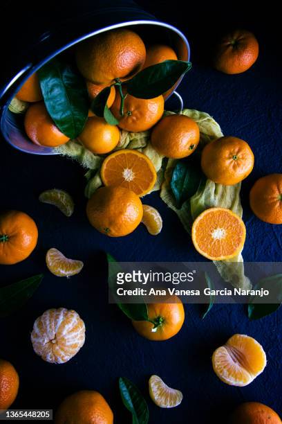 citrus background with a group of oranges, tangerines and grapefruit as a symbol of healthy eating and immunization with natural vitamins. - texture vegetal stock pictures, royalty-free photos & images