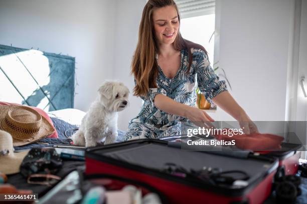 young woman packing her suitcase in company of her maltese dog - s thirtysomething stock pictures, royalty-free photos & images