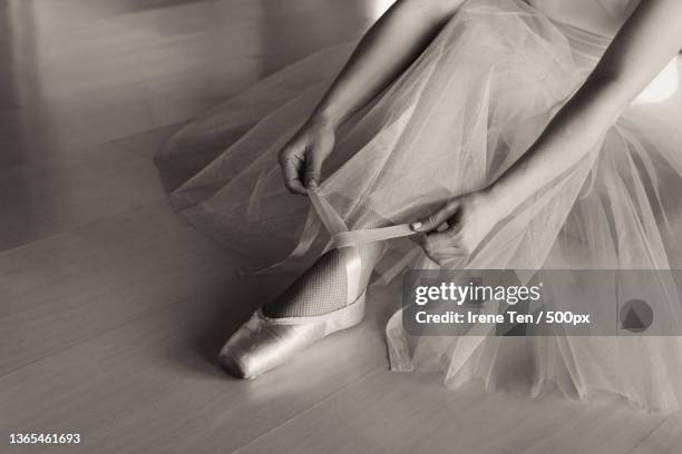 ballet lady,low section of ballet dancer dancing on hardwood floor,sakhalin oblast,russia - ballet dancers russia stockfoto's en -beelden
