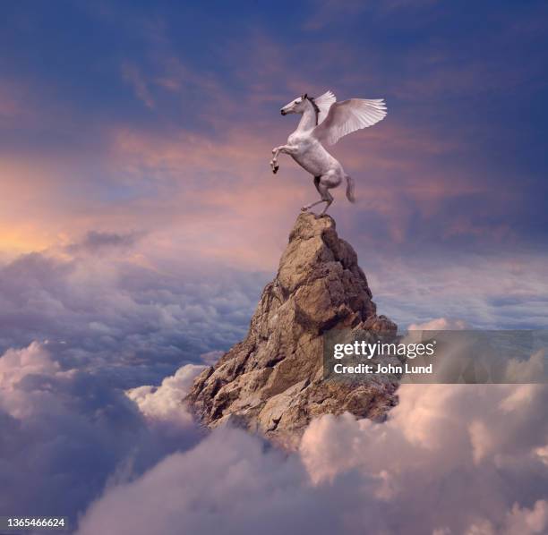 pegasus on a mountain top - pegasus stock-fotos und bilder