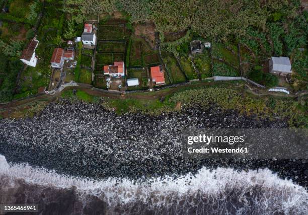 houses at coastline of rocha da relva, sao miguel island, azores, portugal - relva stock-fotos und bilder