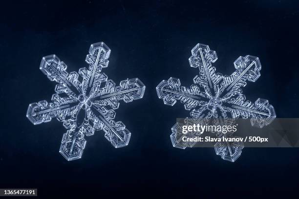 close-up of snowflake decoration - snowflake fotografías e imágenes de stock