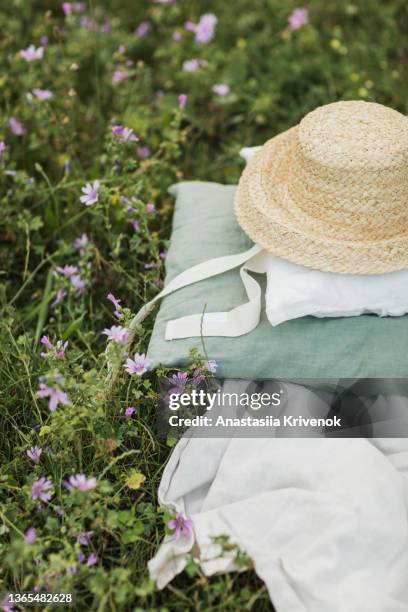 summer picnic with berry's, pie and linen textiles. - romantic picnic stockfoto's en -beelden