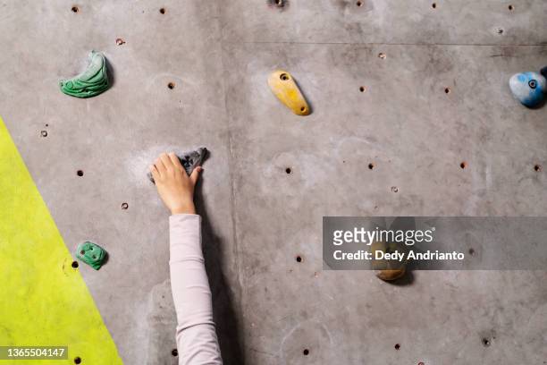 nahaufnahme von klettergriffen an einer wand im indoor gym - kletterwand kletterausrüstung stock-fotos und bilder