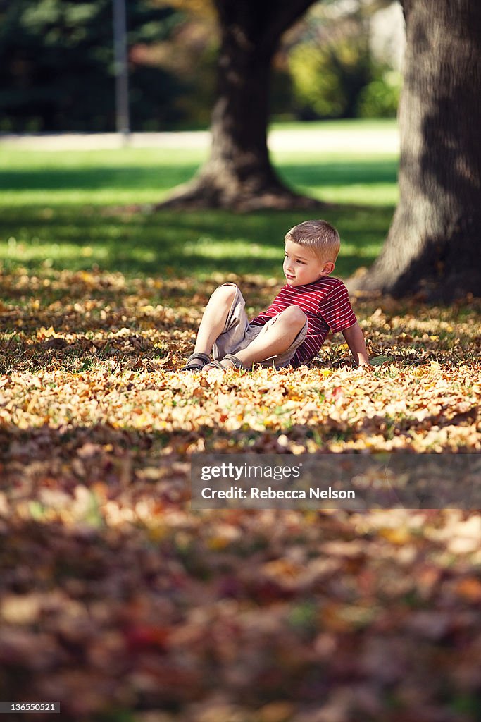 Boy sitting on ground surrounded by fallen leaves