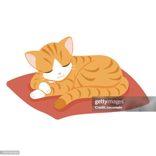 yellow cute striped cat sleeping curled on rug. - ginger cat stock illustrations