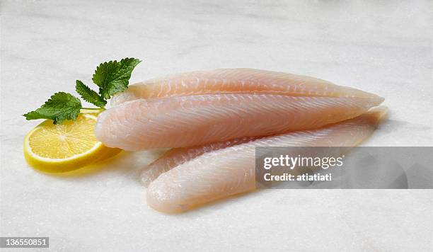 preparati spigola raccordi - filetto foto e immagini stock