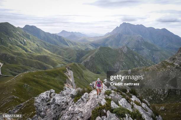 female hiking above the outeniqua pass near george, south africa - george zuid afrika stockfoto's en -beelden