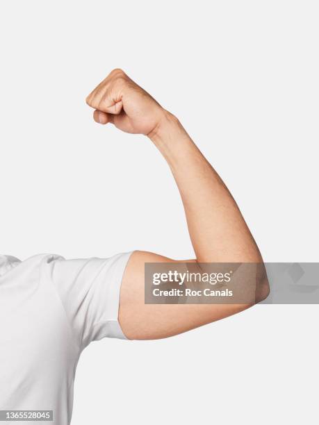 muscle - arm stock-fotos und bilder
