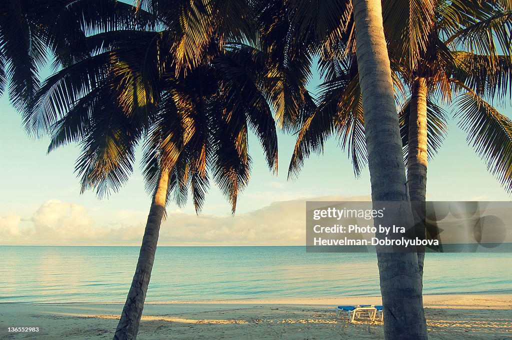 Sunrise on Atlantic ocean coast beach in Cuba