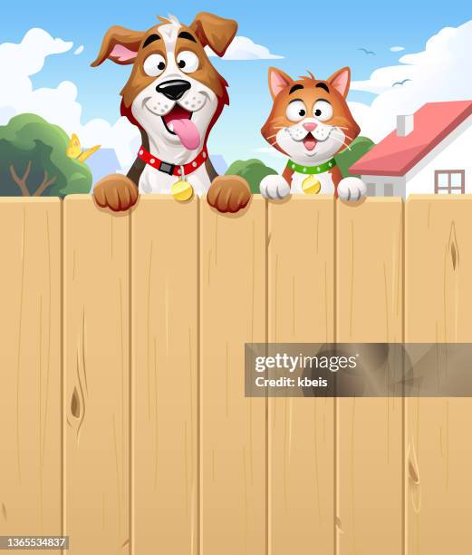 freundliche nachbarn - katze und hund spähen über einen zaun - zwei tiere stock-grafiken, -clipart, -cartoons und -symbole